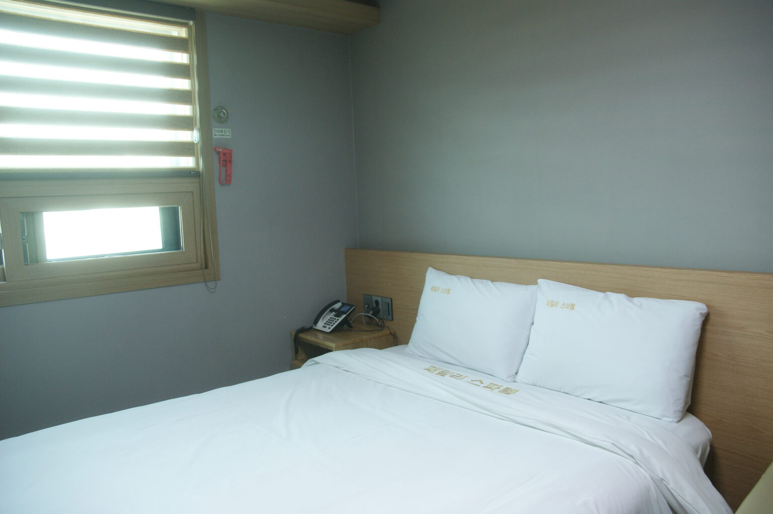 SONY DSC